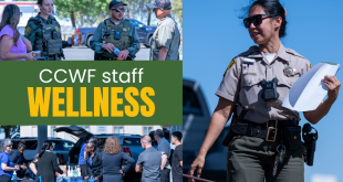 CCWF Focuses on Staff Health, Wellness