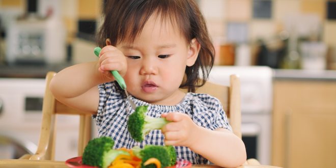 Heartland Children's Nutrition Collaborative Awards Inaugural Grants for Collaborative IU and Purdue Research on Child Health and Nutrition