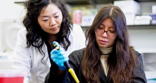 Micronutrient Imbalance in Pregnancy Associated With Child Obesity Research Study