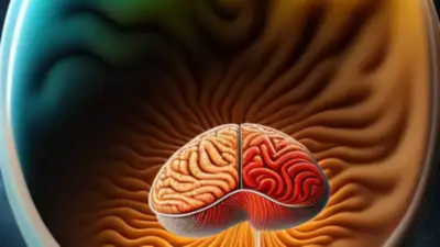 Ancient Roots Offer Wellness, Mitochondrial Health Benefits