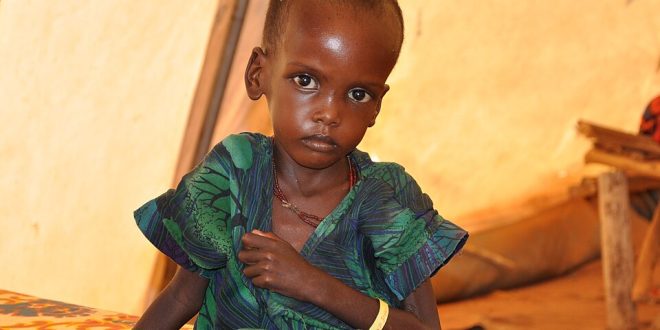 Women's organizations play key role in achieving child nutrition goals government